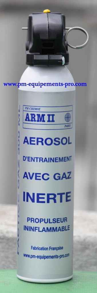 AEROSOLS FACTICES 300 ml (Pour la Formation)